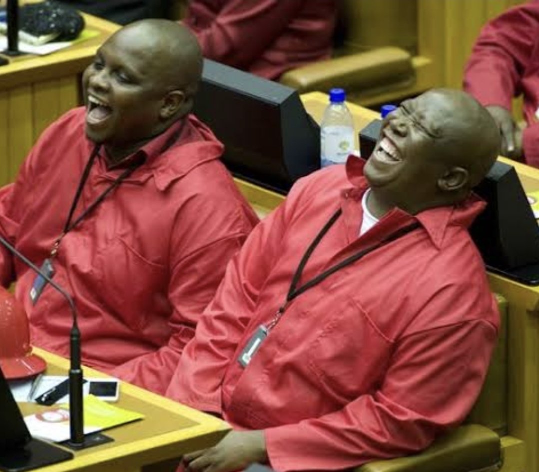 Mzwanele Manyi MP tweet media