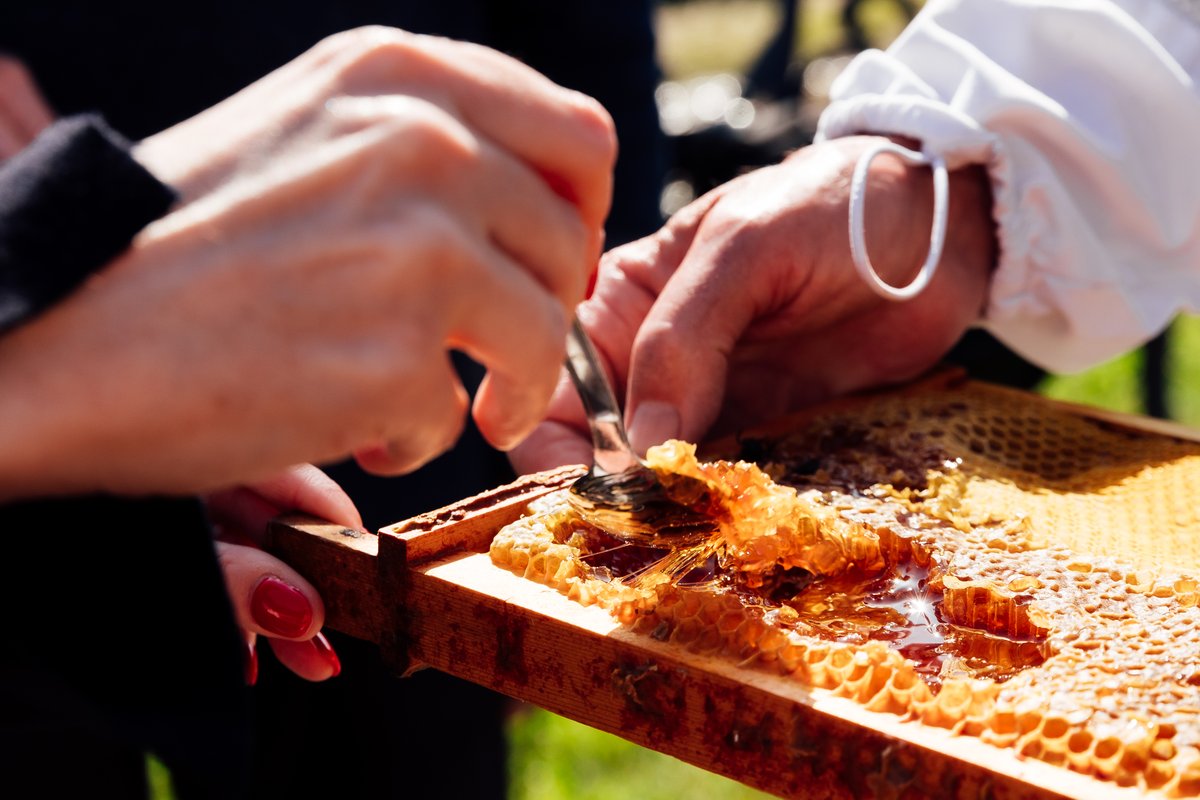 CI_Coop's tweet photo. Today is #WorldBeeDay, and this week we visited the Jersey Bee Keepers Association, one of our Community Fund recipients. We got a true taste of what it's like to be a Jersey Beekeeper and tried on the beekeeping suits that the Community Fund helped purchase. 🐝😍🍯!  

#CoopCI https://t.co/E7yzXnqDJi