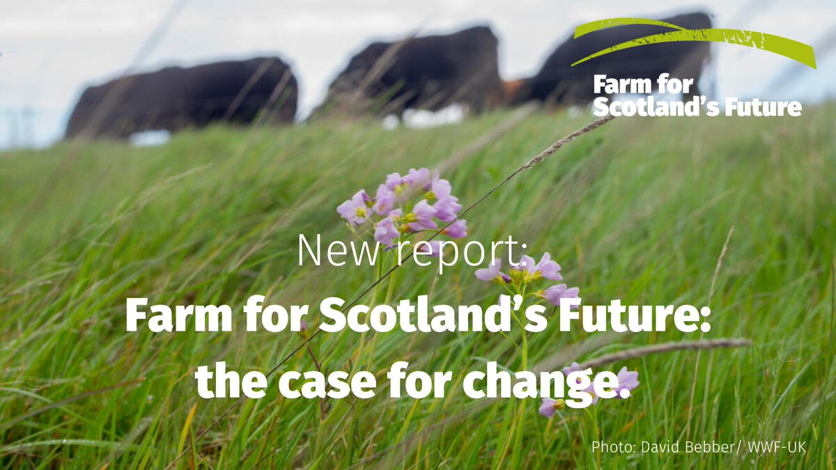 The way we fund farming is unfair and inefficient. Now is the chance to take a better approach for nature, climate and people 🌱🌍👨‍👩‍👦 
Read new #FarmForScotlandsFuture report on the bold changes that are needed:  
farmforscotlandsfuture.scot/report