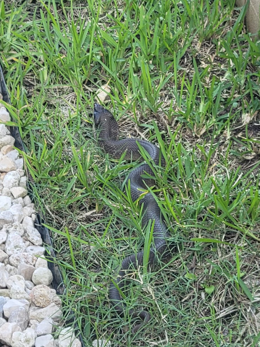 Kami Huyse | Social Media Strategist 🎯 tweet media