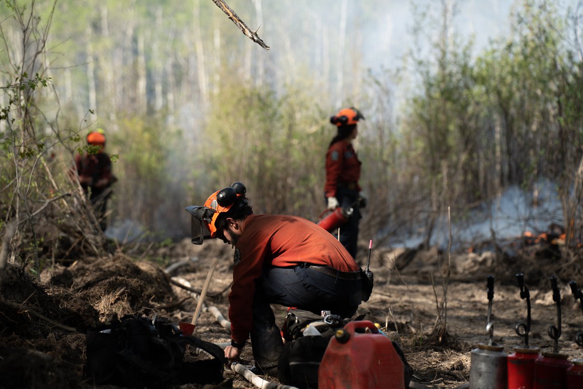 BCGovFireInfo's tweet photo. Crews have made good progress establishing and securing containment lines around the perimeter of the Boundary Lake, Red Creek and Cameron River wildfires. They are now working inwards from the fire perimeter to patrol for and extinguish remaining hot spots. #BCWildfire https://t.co/itDfXUujNZ