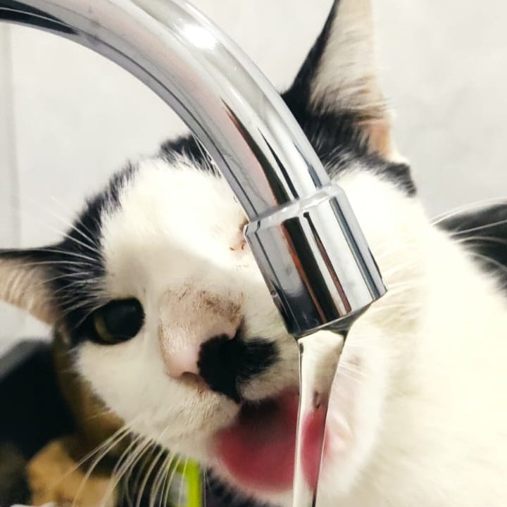 Ȁ̶̩͖͓̰̱̩͇̼͙̥Ḑ̷̥͇̝̣͊̈́̓͋̀̇̚͜͝M̷͍̂͐̋Ī̶̡̧̧̹͉̞̯̞̝̬͍̭̞̹Ñ̶̠͕̻̰̫̉̋̅̆̊̒̈́͆ͅ ̷̨͖̥̥̲̝̱̘͈͙͓̊̒̊̀̏F̷̧̯̠̲̠͔̮̬͉̾͐̆̋͐͛̌́͑ͅA̴̛͙͇̐͛̇͛͠C̶̨̧̛̙̰̼̼̹͖̆̑͒́͌̅̇̂̑̾̾̚ͅE̸̪͕̜̦̝̘͎̭̬͈͗͜͠ ̸̞͂̔̎̂̊̎͝͝͠R̴̨̡͙͚̣͈̣͓̩̬͙̋͂͆͛̆͗Ẻ̶͈̚V̸͈͇͉͕͇̝͚̤͉̭̹̼̳̎̈́͛̈̏̔̆͋̕̕Ḭ̵̱̼͆̔̃̂͛͗̔͐͑̎͝Ë̷̛̜͓͍͍̹̰́͋̓̋͆͗́͒̄̇͘͜W̷̜̫͛̓̌̿̚!!!!,,,!