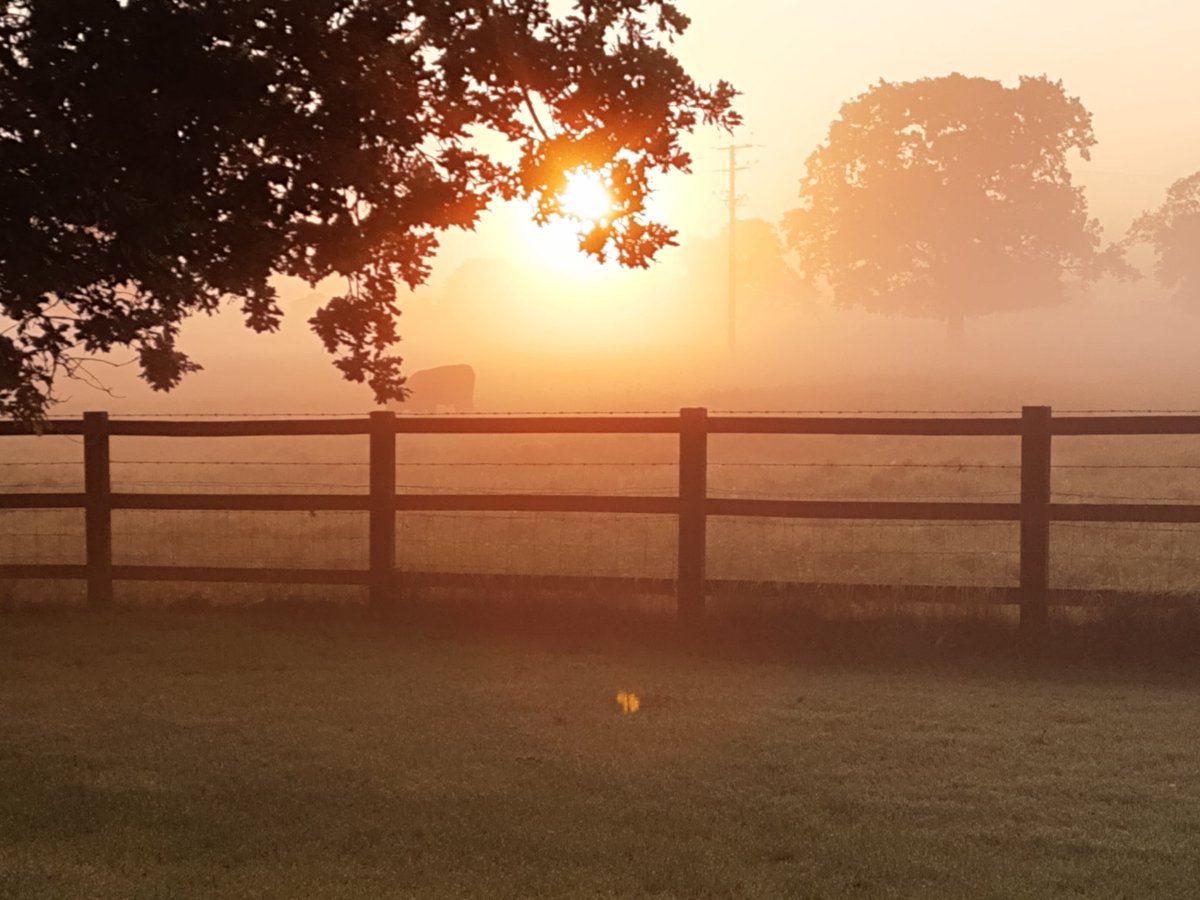 _AdeleEvans's tweet photo. It's going to be a beautiful day 🙏 https://t.co/8FRfDKZKIK