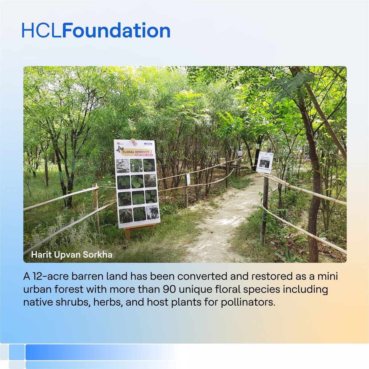 1/3: The plantation of native species and ecological restoration of habitat under #HCLHarit  have brought back these crucial pollinators in our site.  Map location to our sites are given below. 

Harit Upvan Sorkha: goo.gl/maps/6kpKwonQz…