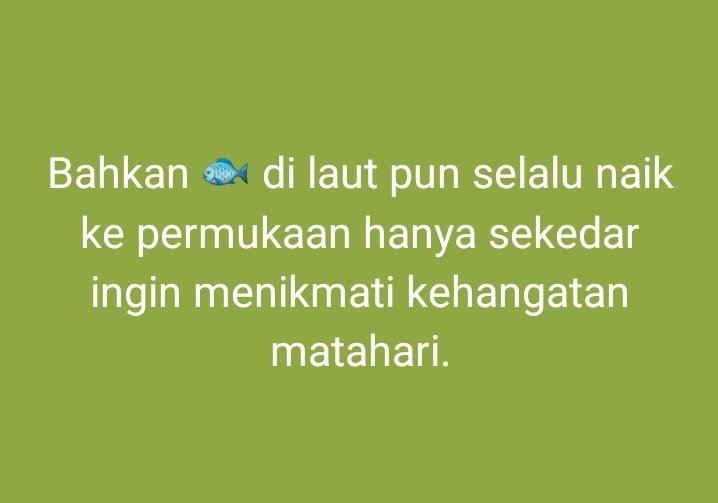 Musafir tweet media
