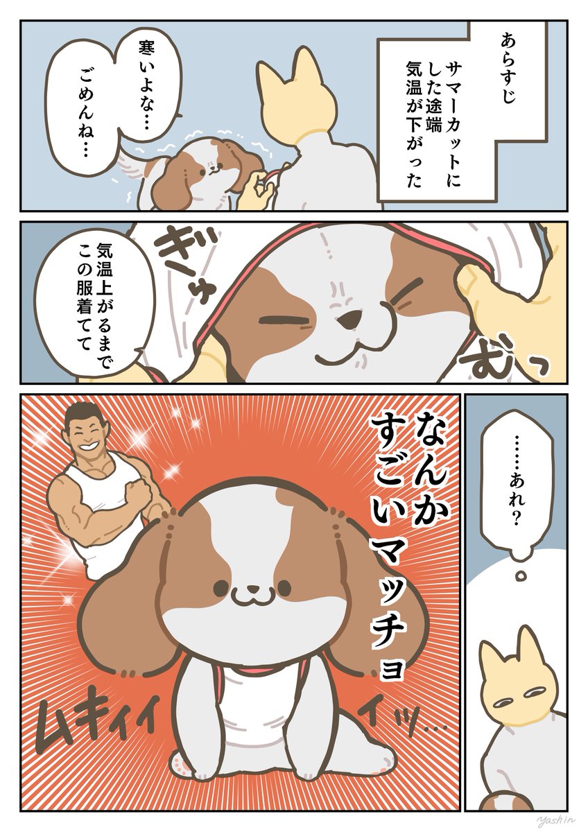 犬日記 意外と筋肉質