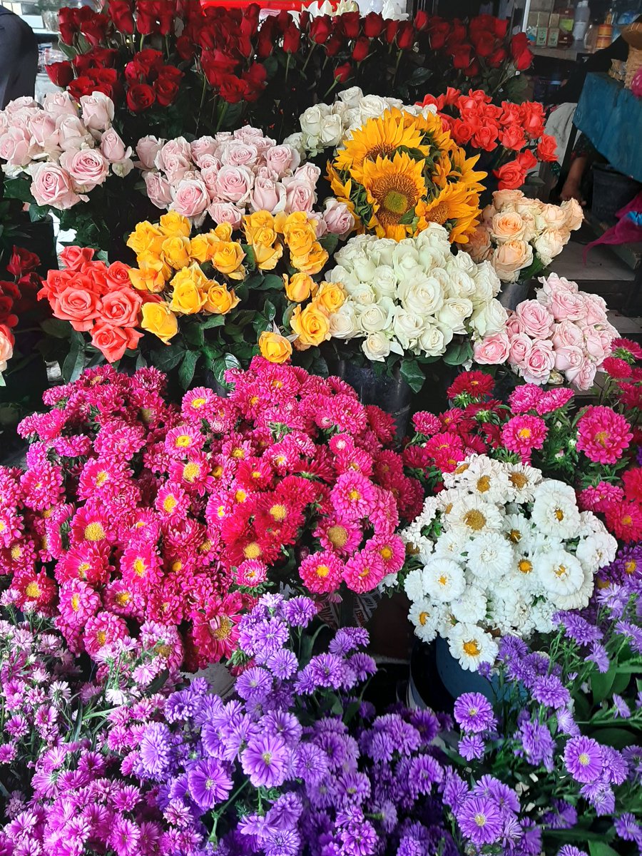 parks, sea, trip, flowersss
