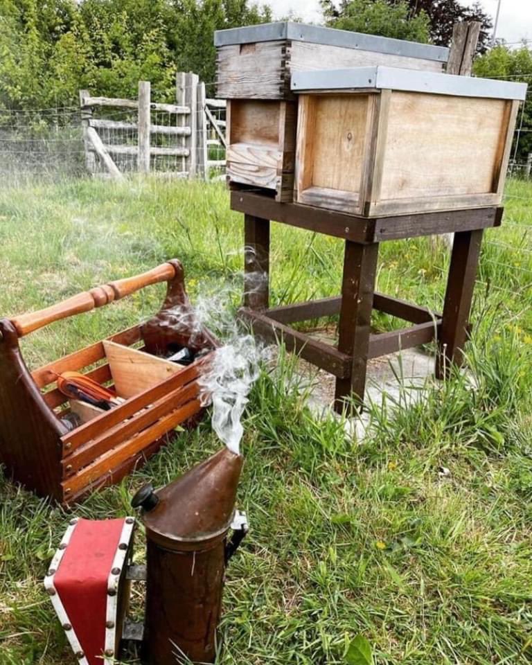 It’s #WorldBeeDay 🐝 are essential to the worlds ecosystem, these buzzy little pollinators are responsible for an estimated 1 in every 3 mouthfuls of food we eat yet they are facing extinction.
Our MD Geoff Dickinson is a bee keeper tending lots of hives making the tastiest honey