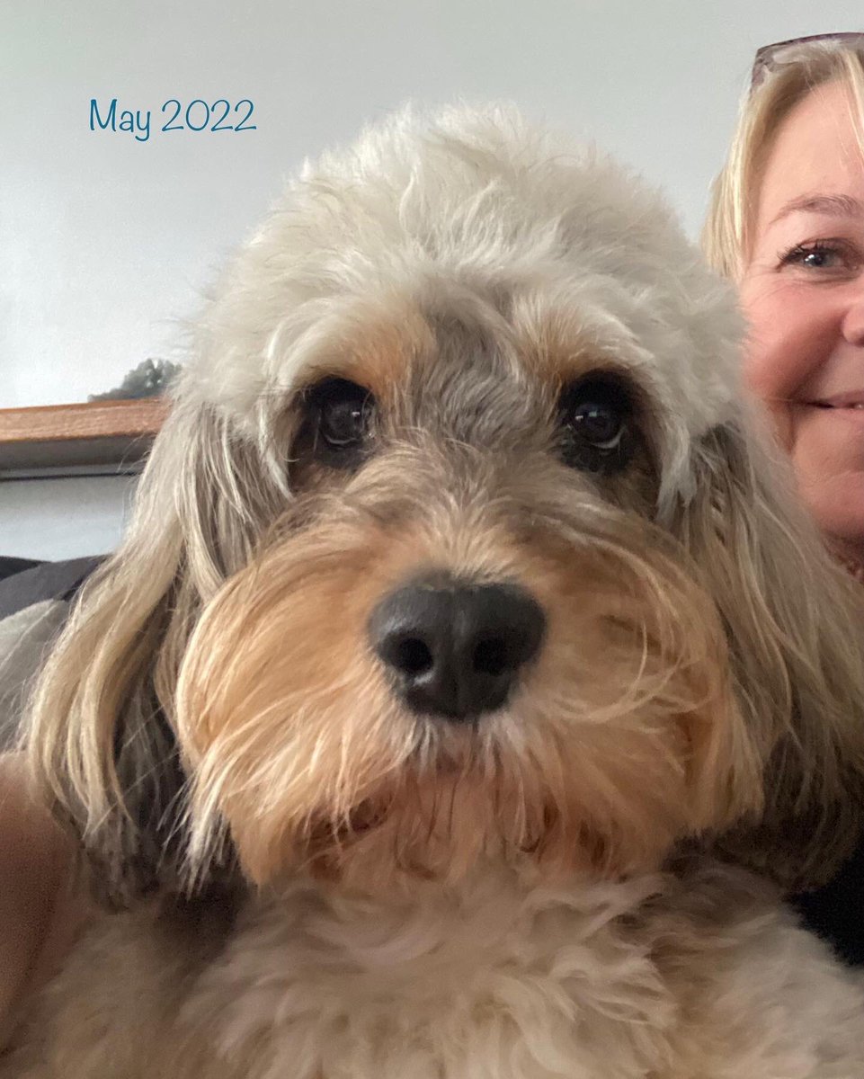 HelenMarriott3's tweet photo. @charliersmith1 Busby and I are sending love 😘 https://t.co/wxZg0B3QD5