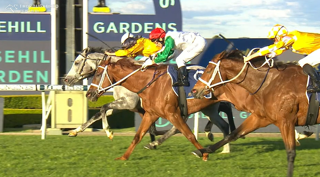 TAB (@tabcomau) on Twitter photo Bois D'Argent gets the nose down on the line and <a href="/ANeashamRacing/">Annabel Neasham and Rob Archibald Racing</a> goes back-to-back in the Listed Lord Mayor's Cup! π Bois D'Argent gets the nose down on the line and <a href="/ANeashamRacing/">Annabel Neasham and Rob Archibald Racing</a> goes back-to-back in the Listed Lord Mayor's Cup! π