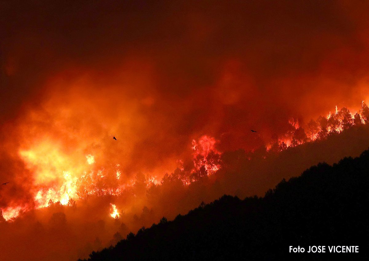 DavidJCampion's tweet photo. Buitres negros abandonando los nidos y pollos en plena noche cuando no soportan mas el calor 😪
Incendio de Pinofranqueado (Cáceres)
📷Jose Vicente
@AT_Brif https://t.co/nOXUKMqFVS