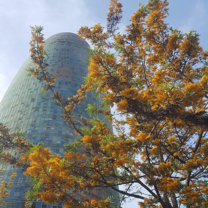 Passejant per Barcelona. 
Torre Glòries.  Colors. #Barcelona #bcn #architecture @Bcn_SantMarti @COACatalunya #descobrirbcn