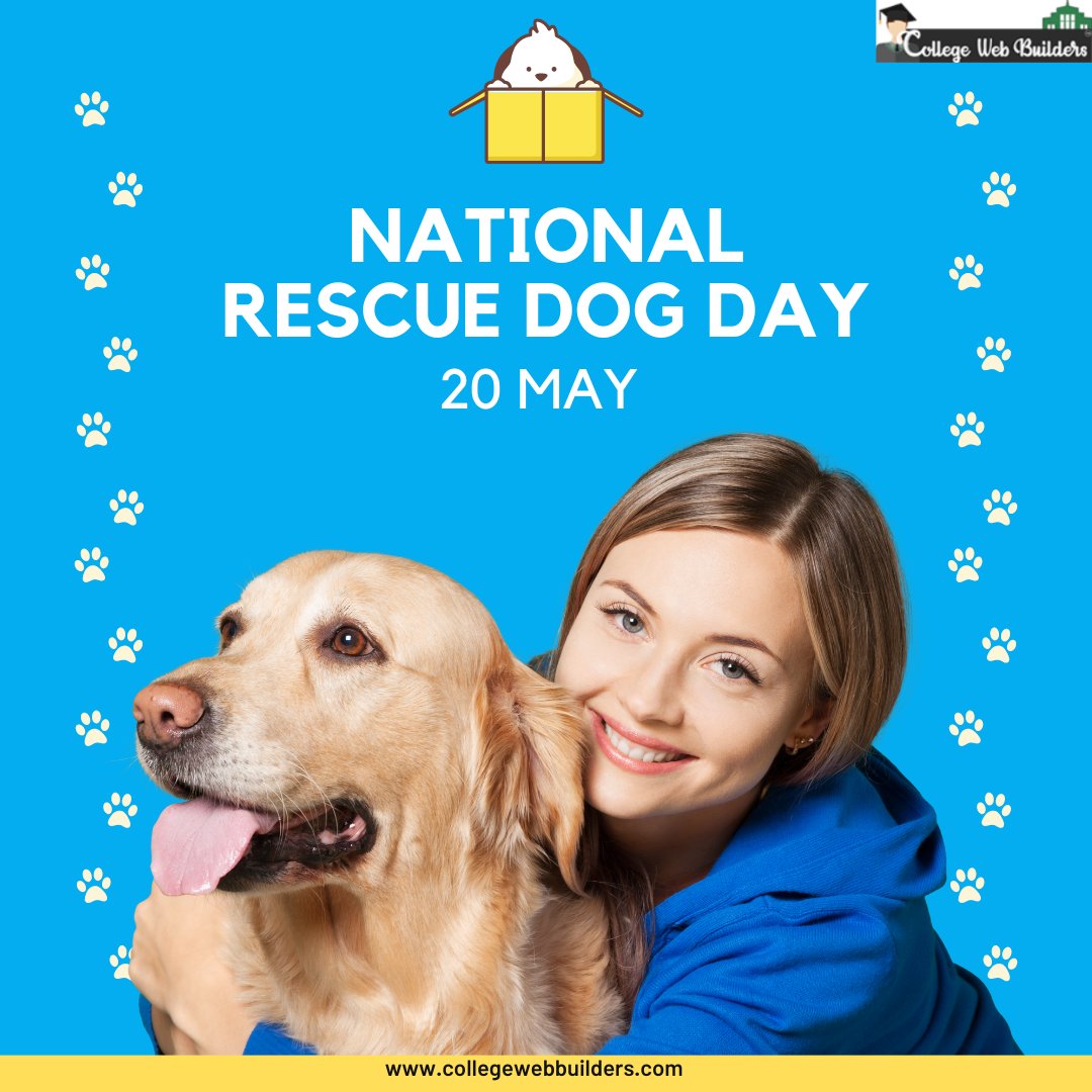 Collegewebbuil1's tweet photo. "Today we celebrate National Rescue Dog Day, a reminder that love and loyalty can come in the most unexpected packages! 🐾❤️
https://t.co/Ex4SV8LpqU
+ 1.202.421-5747
#collegewebbuilders #NationalRescueDogDay #AdoptDontShop #RescueLove #UnconditionalLoyalty #itservice https://t.co/13m7G4aFHV