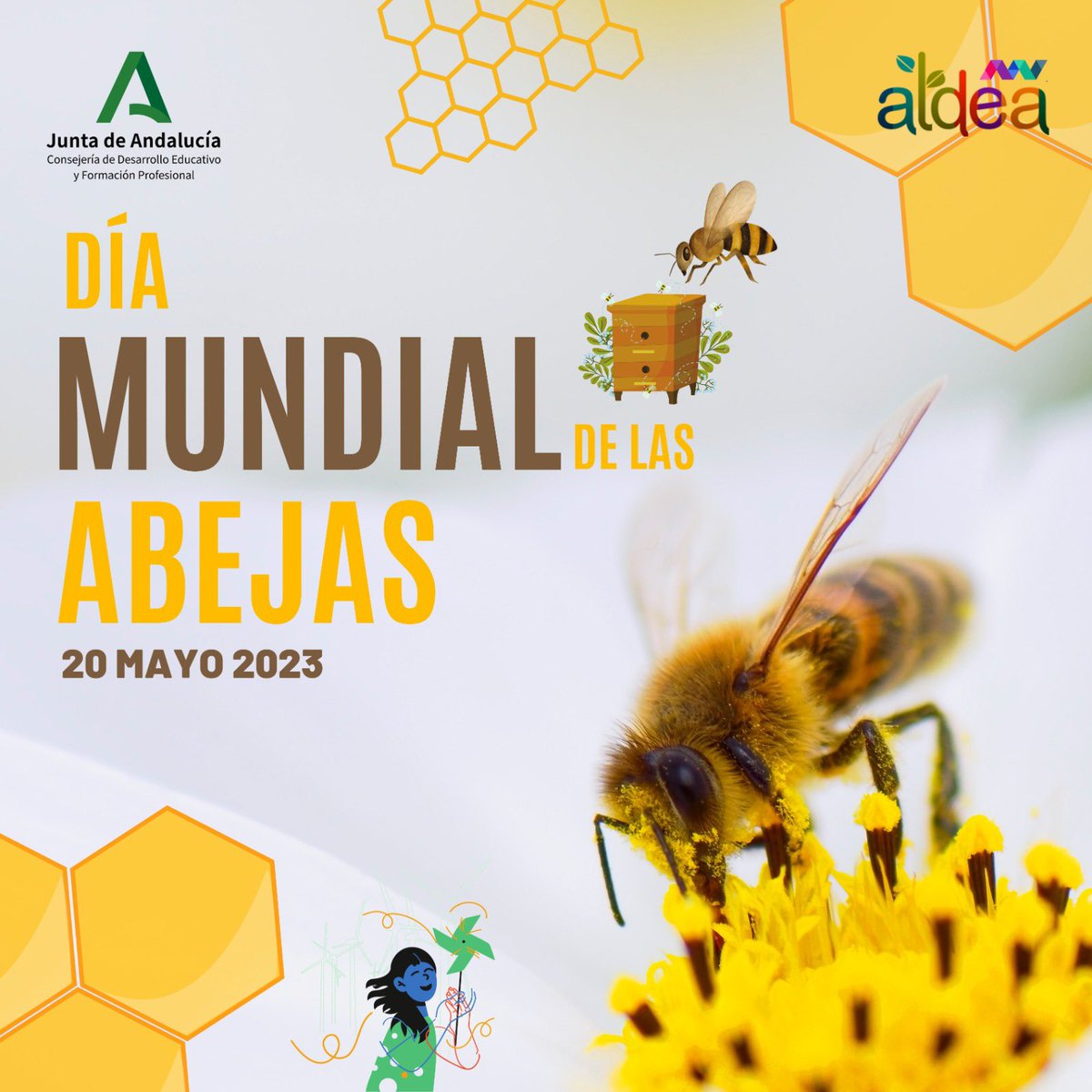 En el #DíaMundialdelasAbejas recordemos que su labor incansable es crucial para la producción de alimentos y para el equilibrio ecológico. Alrededor del 75% de los cultivos que alimentan al mundo dependen de su polinización…