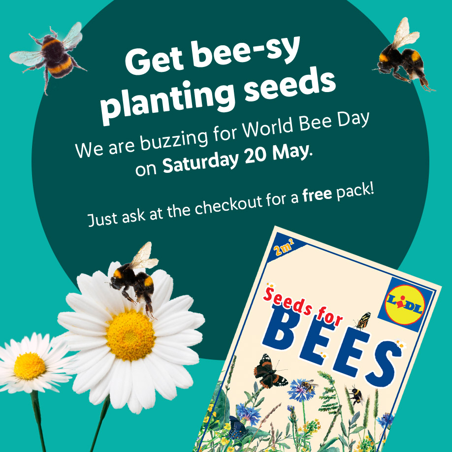 BumblebeeTrust's tweet photo. Get bee-sy this #WorldBeeDay with a FREE pack of bumblebee-friendly garden seeds from @LidlGB🌍🐝

Pop into your local store today and ask at the till for your free seed pack (one per customer)*🏃‍♀️💨

#GetBeesy #BeeTheChange #LidlGB

*Subject to availability, only available 20 May https://t.co/9ne0vjozxi