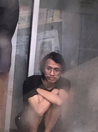 The Animal That Therefore I am tweet media