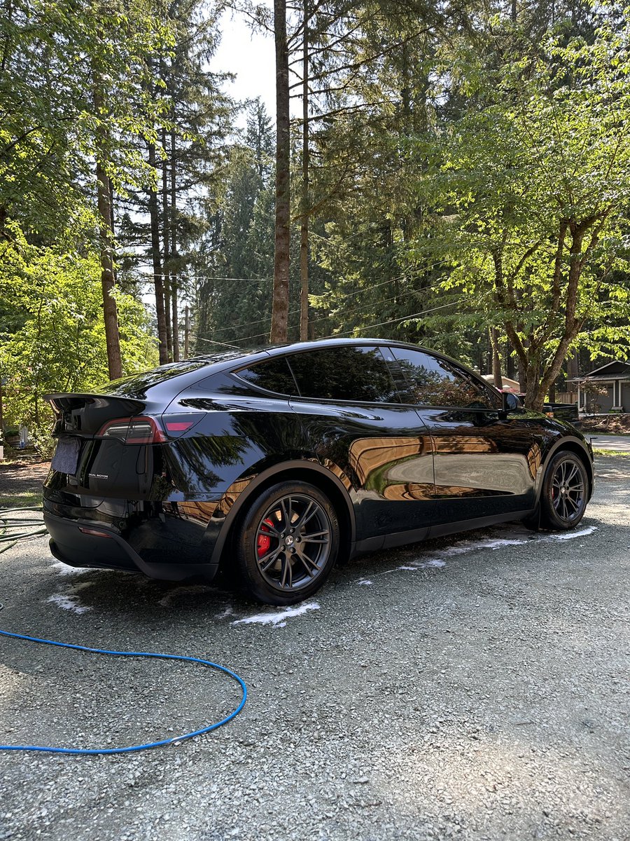 A rare sighting of my beauty 🐦‍⬛🏴‍☠️☀️ #ModelYPerformance #MYP #Tesla #ModelY @Tesla @elonmusk