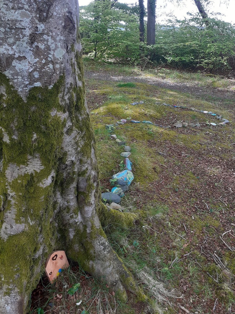folkhorrorforum's tweet photo. FAIRY TREE-I was enjoying an entirely new woodland ramble yesterday when I stumbled on(quite literally)one of those curious fairy trees that everyone's going on about.Made entirely by fairy hand alone,I knocked 3 times on the door but ran off when I heard shuffling in the hallway https://t.co/iQClhaG9t6