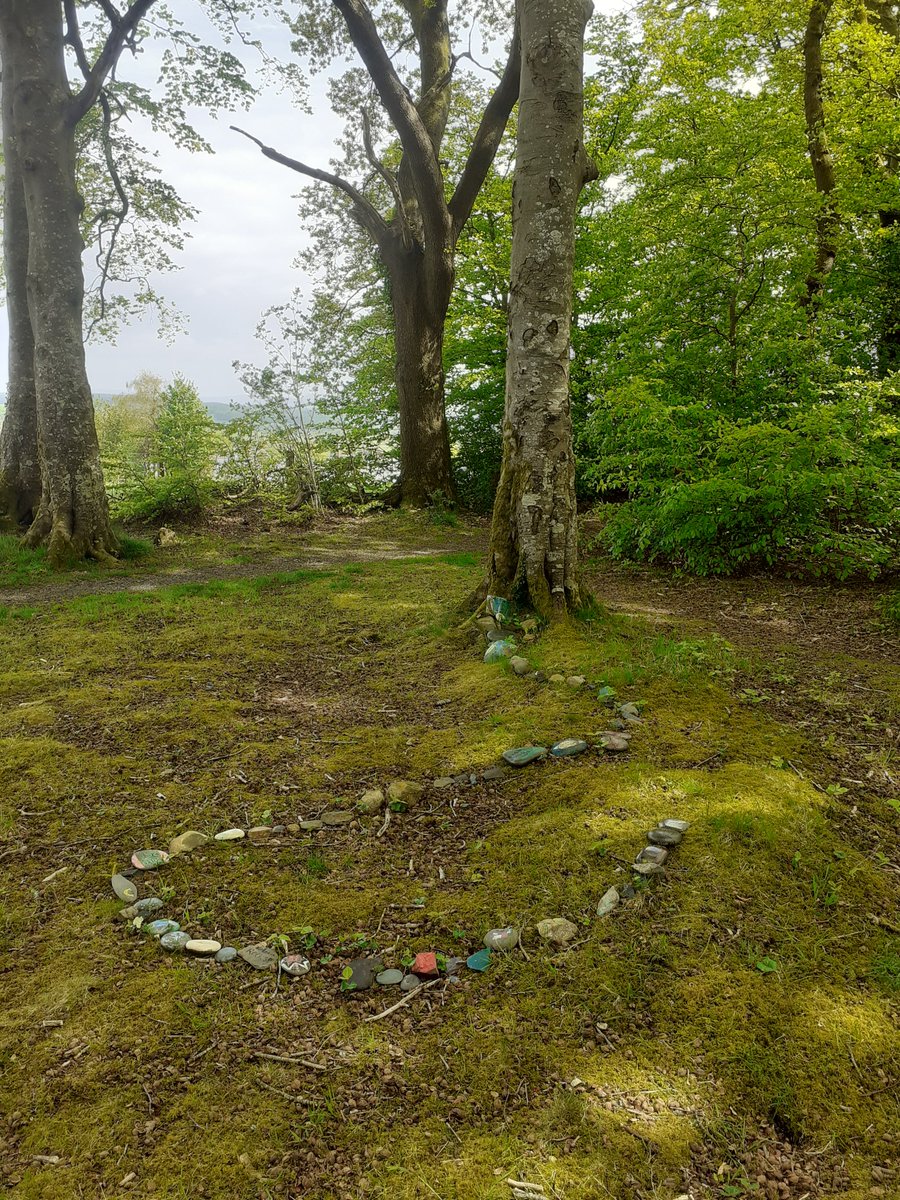 folkhorrorforum's tweet photo. FAIRY TREE-I was enjoying an entirely new woodland ramble yesterday when I stumbled on(quite literally)one of those curious fairy trees that everyone's going on about.Made entirely by fairy hand alone,I knocked 3 times on the door but ran off when I heard shuffling in the hallway https://t.co/iQClhaG9t6