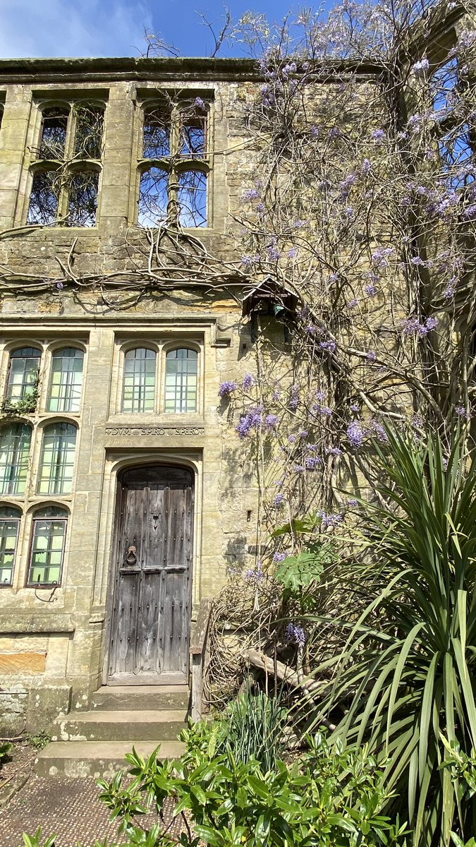 RPOQuinlog's tweet photo. Wisteria in bloom in
@NymansNT https://t.co/RGmP1mYk7c