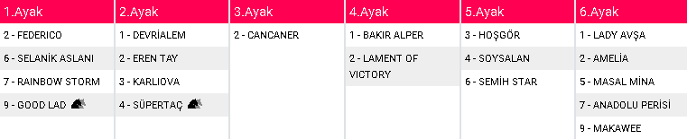 Ankara 1. altılı ganyan görüşüm.