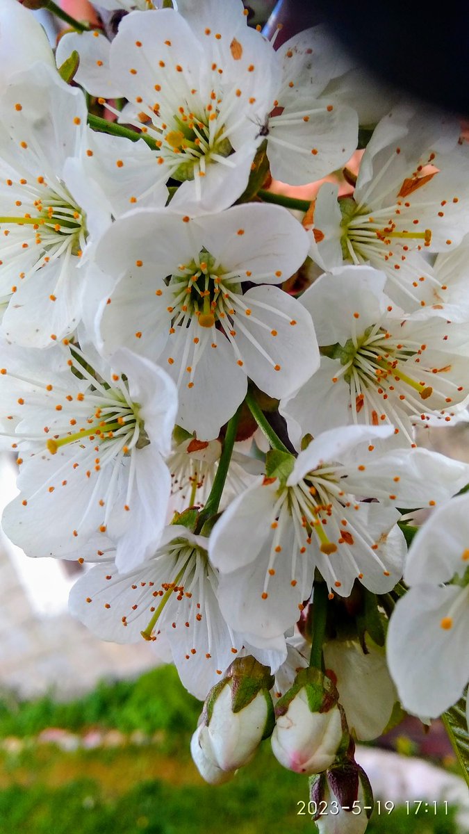 Али Aли (@a54118370) on Twitter photo 