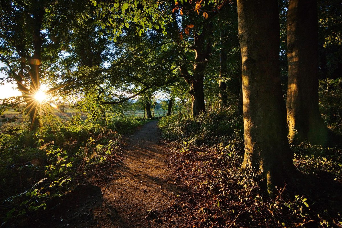 SHHomePlace's tweet photo. Walk through the beautiful Long Point Wood today and take in the stunning sights from wildlife to plants to the spectacular #LoughBeg. Discover the place that shaped Seamus Heaney’s poem ‘The Strand at Lough Beg’.

Find out more here> https://t.co/EdmwWeXNR0
#SeamusHeaney https://t.co/COI531KDAz