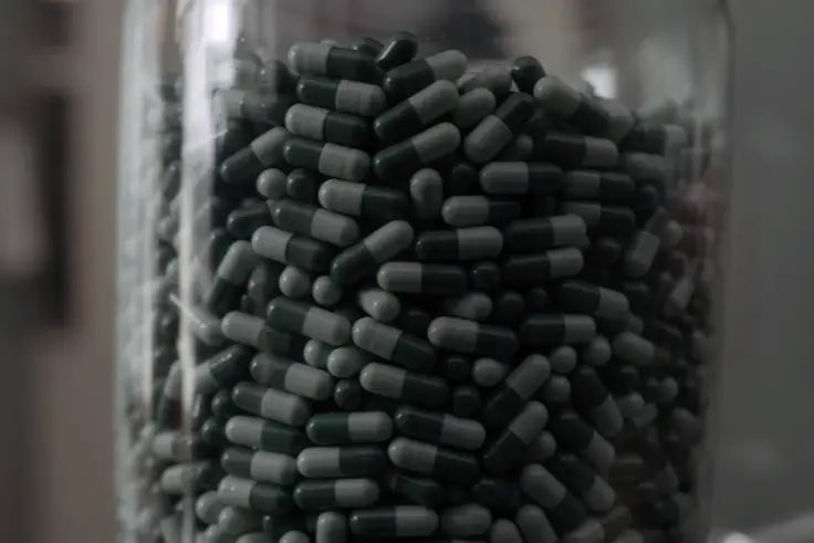 the ship                             the shipper