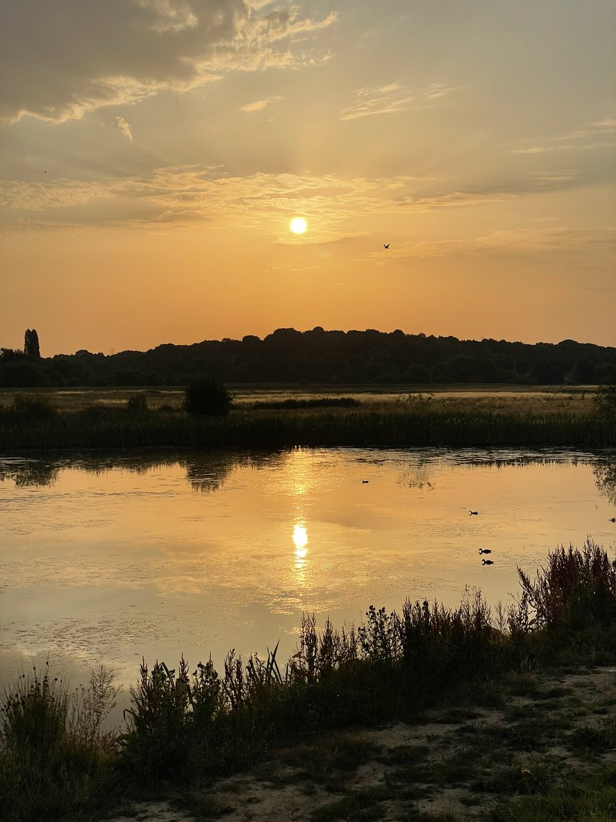 @RoseHabberley @IMcMillan You’ve got insomnia too?  Lovely picture though. This is over Wombwell Ings.