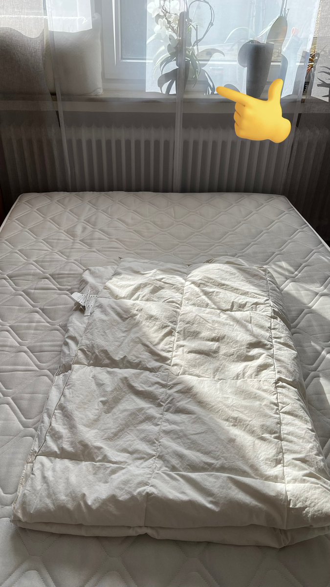 Einen wunderschönen guten Morgen wünsch ich euch und euren Familien🍀🙂

Bei mir fing der Morgen Action-Reich an… da die Katze raus wollte jedoch ich weiterschlafen wollte… dachte die Nudel sich ach… dann kippe ich die Blumenvase mal um und mach Ihn nass… danke 😅😂

Was habt