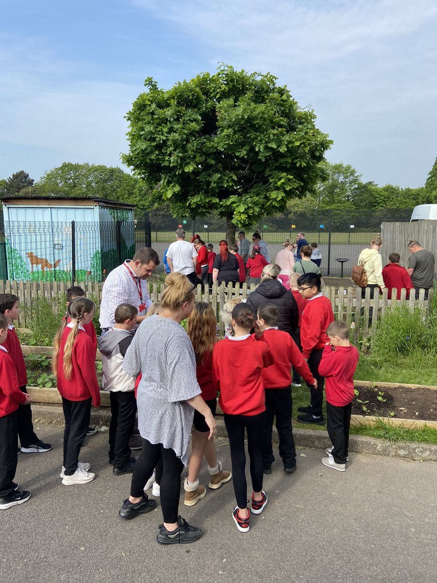 Parents came to work with their children at our Edible garden session. Hoping to attract more volunteers #schoolgardens #Hampshiregardenstrust #cosmos #pottingon #passingdownhortiskills