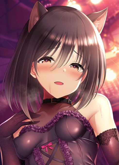 メロンブックス様のぱんつ画集企画「Underwears7」に参加させて頂きました!
 僕はえっち下着でフィーバーする黒猫さんを描きました。 
興味がございましたら何卒よろしくお願いいたします～ 
特設ページ:https://t.co/wa01hQYRQ2 