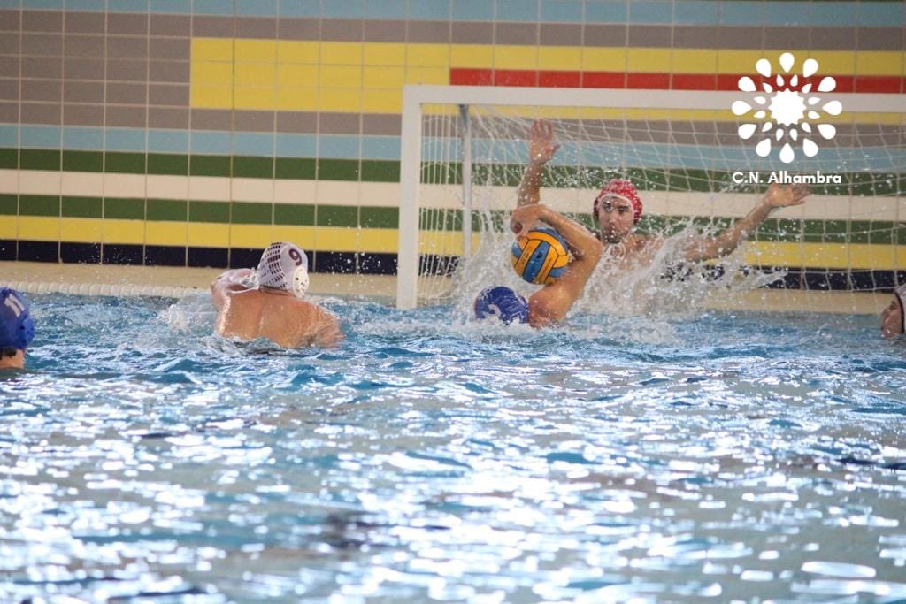 Club Natación Alhambra tweet media