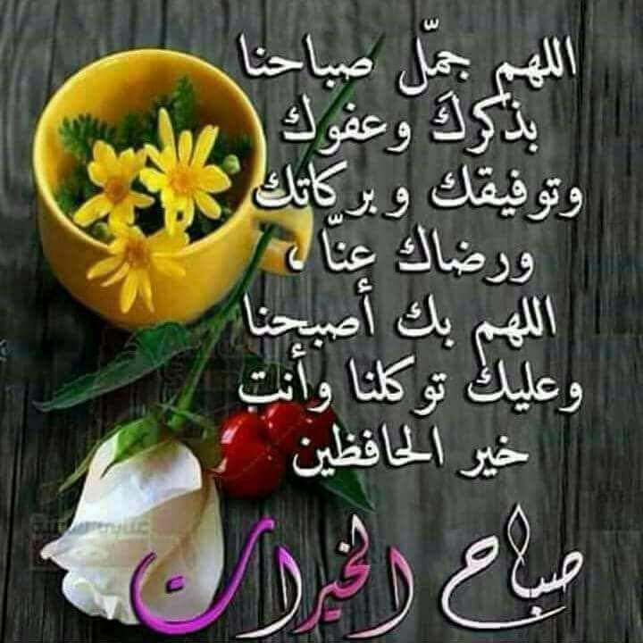 FAmrayf's tweet image. 