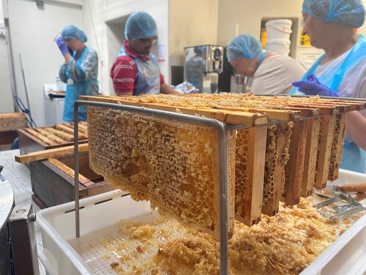 ManCathedral's tweet photo. It's #WorldBeeDay! 🐝 Did you know we have 10 hives on our south roof? The hives are maintained by our resident bee keeper &amp; @MCVolunteerTeam, who also harvest the honey each year.
Find out more about the Cathedral bees or getting involved in volunteering https://t.co/E2egkDhlaM https://t.co/HydbTQpDFr