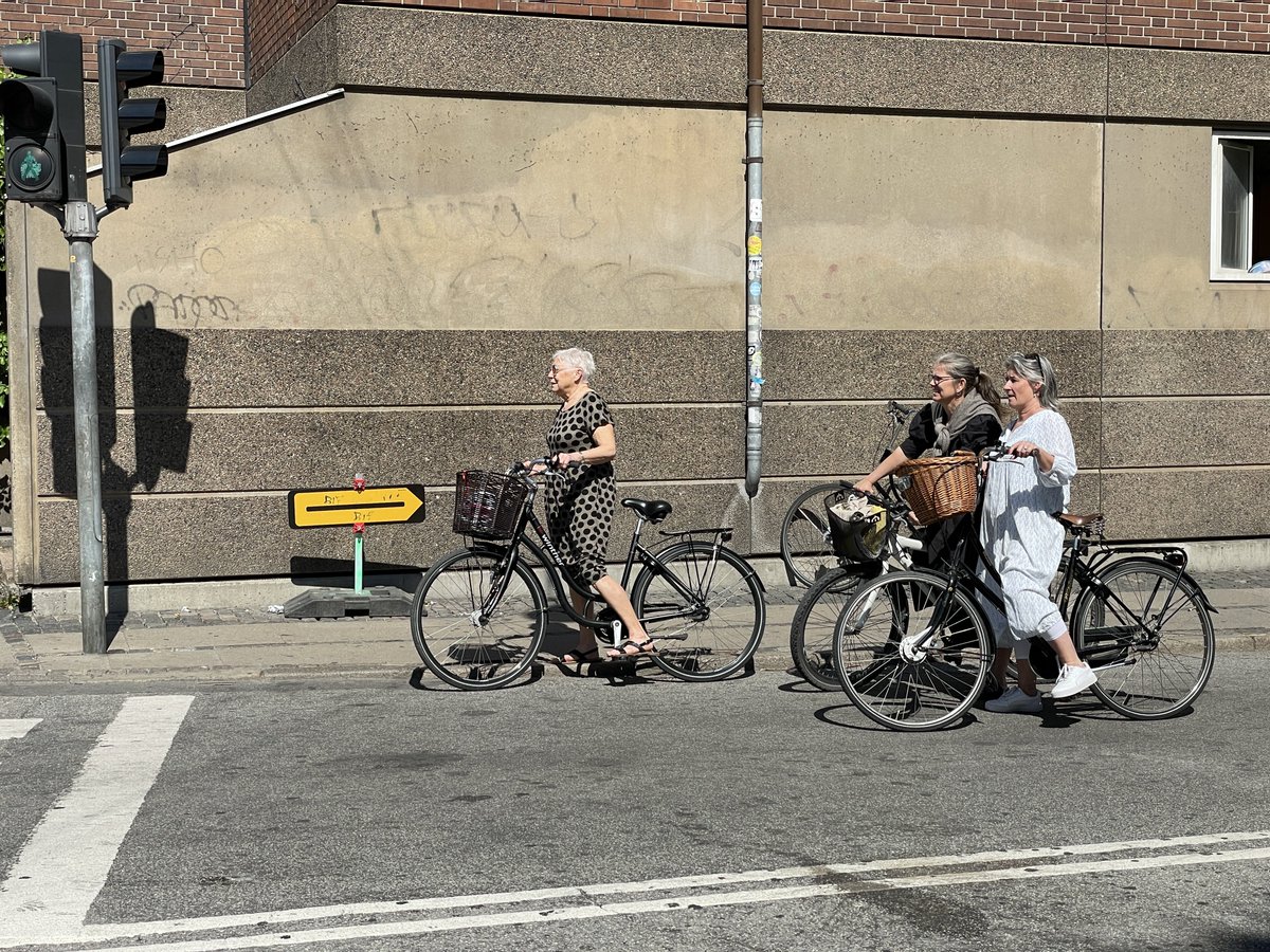 sara_stace's tweet photo. Riding a bike helps people age more healthily, staving of heart disease, diabetes and cancer (and in fact all forms of mortality).
Given women live longer than men, on average, it is especially important that older women can ride easily and safely https://t.co/sQI4qpcS8l