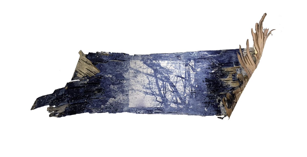 deletedimage's tweet image. cyanotypes on birch bark, one with and one without gesso :D pt.3