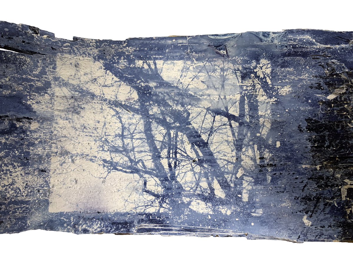deletedimage's tweet image. cyanotypes on birch bark, one with and one without gesso :D pt.3