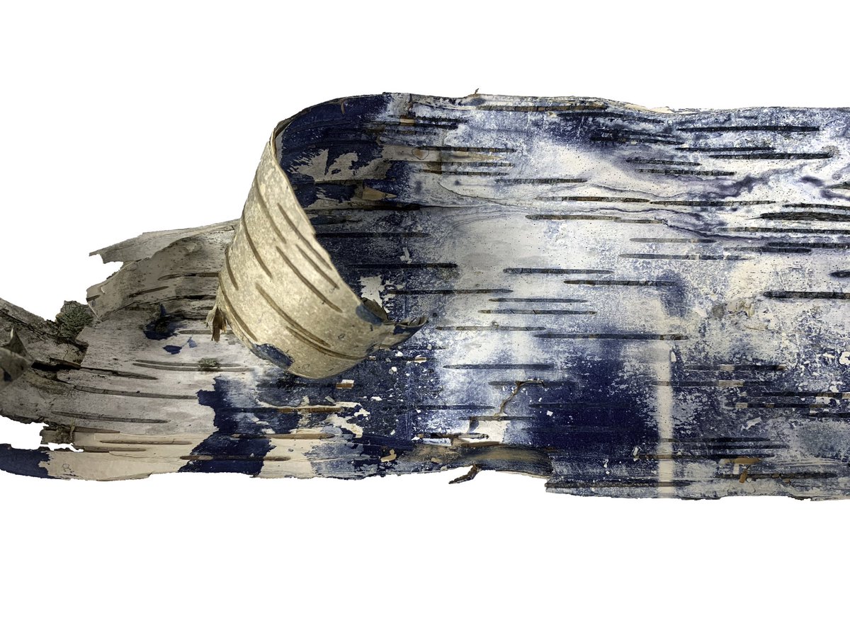 deletedimage's tweet image. cyanotypes on birch bark, one with and one without gesso :D pt.3