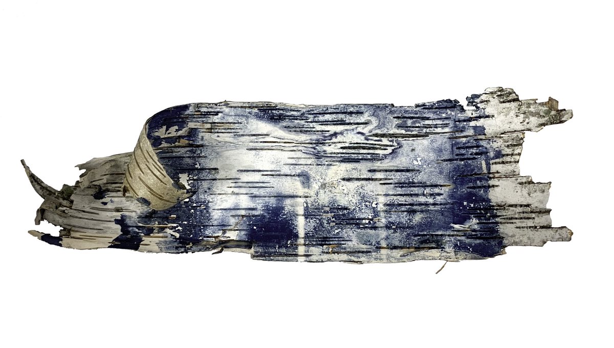 deletedimage's tweet image. cyanotypes on birch bark, one with and one without gesso :D pt.3