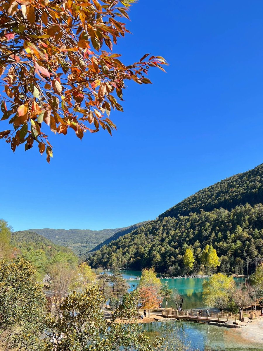 しばらく旅行をしていないようです