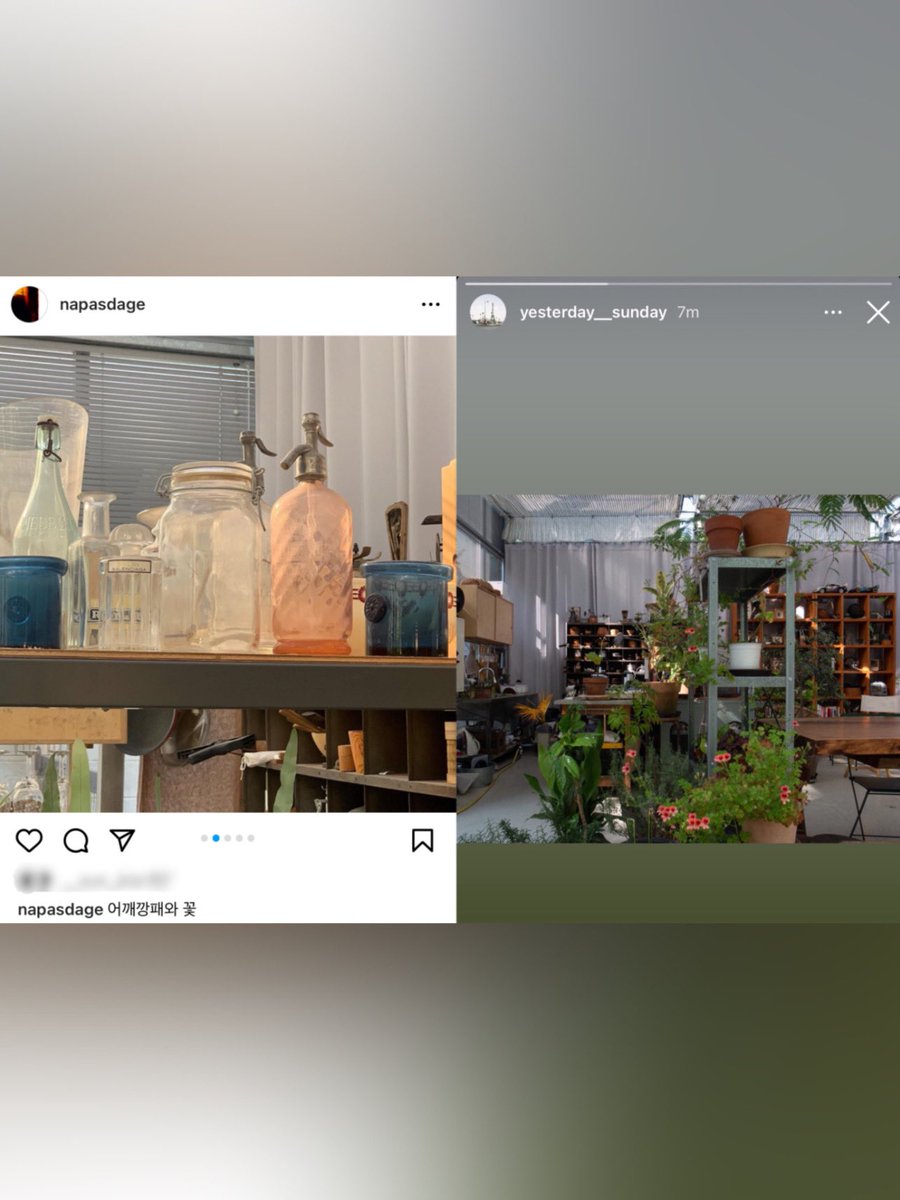 Ustinian_444's tweet photo. Same day  Same place 
Can't stop thinking about the unforgettable date？🌼

#YESUNG #예성 #イェソン #艺声 
#예성버블
#束の間の恋
#君という桜の花びらが僕の心に舞い降りた https://t.co/E5KWlS0Abk