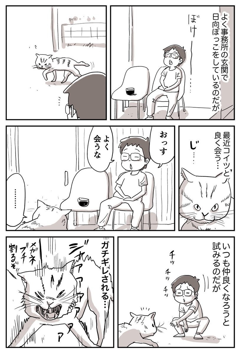 【漫画家ハミの日常】 よく会うネコ