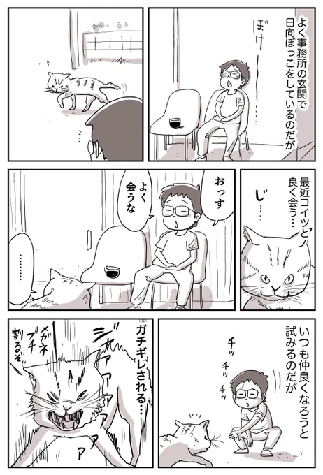 【漫画家ハミの日常】 よく会うネコ