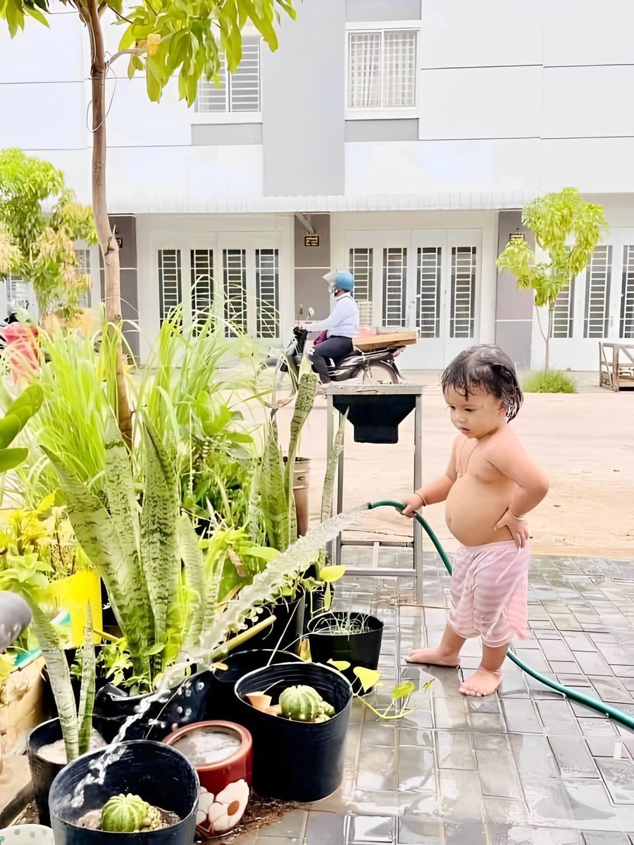 sosmed keras tweet media