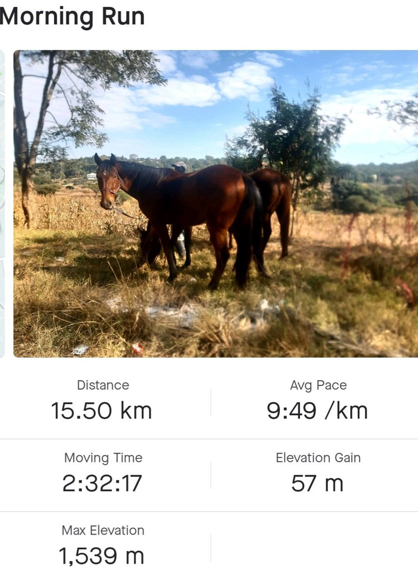 hesphina's tweet photo. That timeline of the target when every step matters.
#Beling
#RunningWithSoleAC https://t.co/lBNYsqOWHX