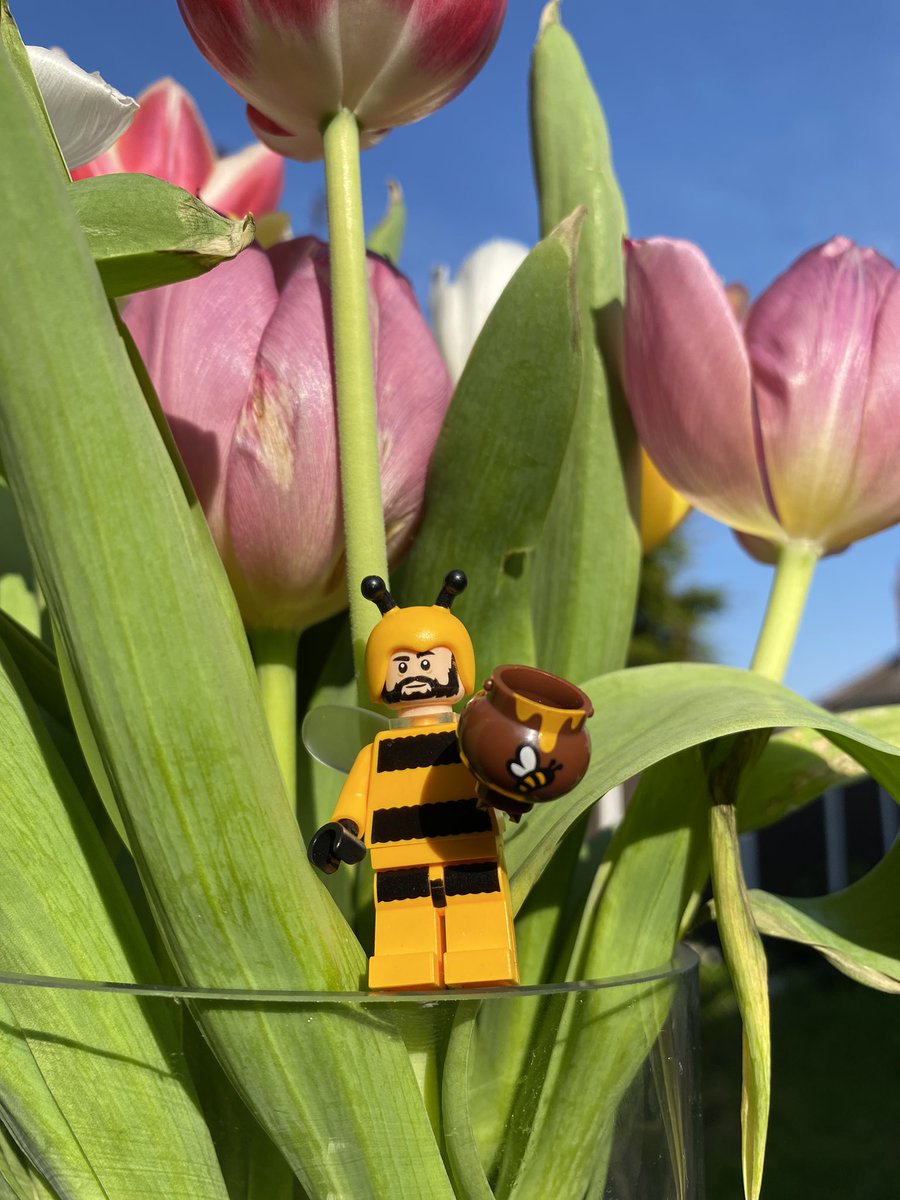 Lego Dave Grohl tweet media