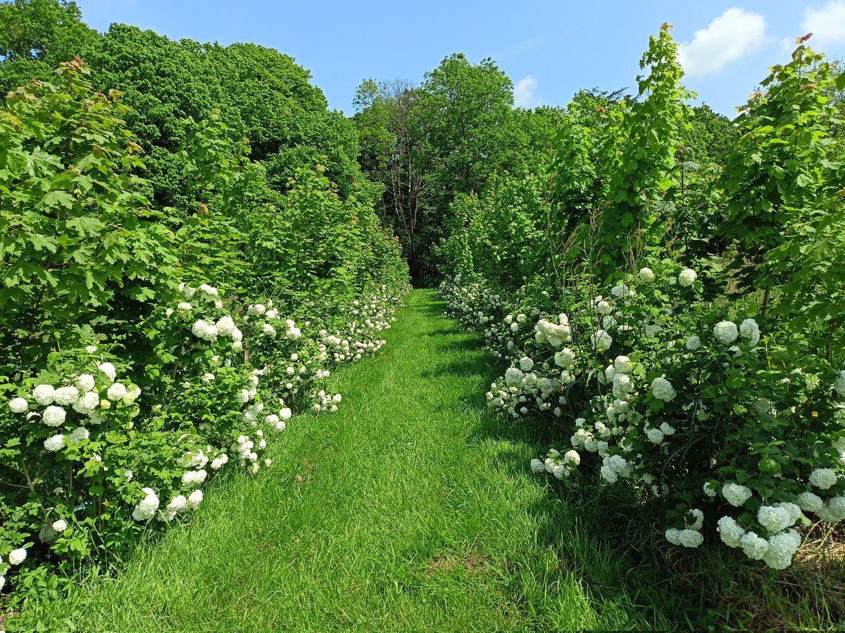 Des allées de printemps à visiter.... @chateaulatourlandry ouvert ce week-end . La visite guidée à 15h intérieure du château complète la déambulation végétale. <a href="/OuestFrance/">Ouest-France</a>  @ChemilleenAnjou <a href="/JaimePatrimoine/">J'aime mon patrimoine</a> <a href="/Anjoutourisme/">Anjou tourisme</a>