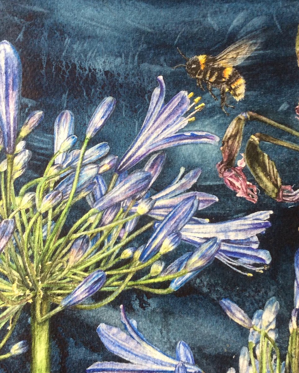 To #celebrate #WorldBeeDay2023 here are some details of #bees I've painted.
Happy World Bee Day! 🐝
#WorldBeeDay #wildlifepainting #painting #watercolours #narrativeart #clairesparkes #figurativeart #Flowers #beeday #lovebees #plantsforbees #beelife #artwork #beeart #beepaintings