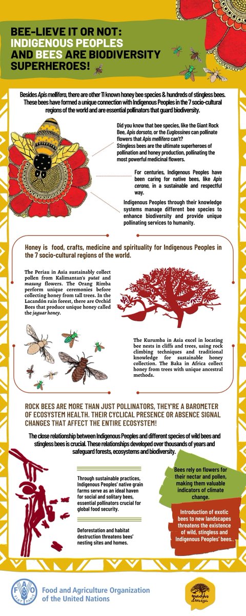 🐝 Happy #WorldBeeDay! 🌍🌼 Today, we celebrate the remarkable stingless bees &amp; their enduring partnership with Indigenous Peoples. Through millennia, these pollinators have nurtured biodiversity and safeguarded ecosystems. 
Discover more👉bit.ly/42TH6iG #WeAreIndigenous